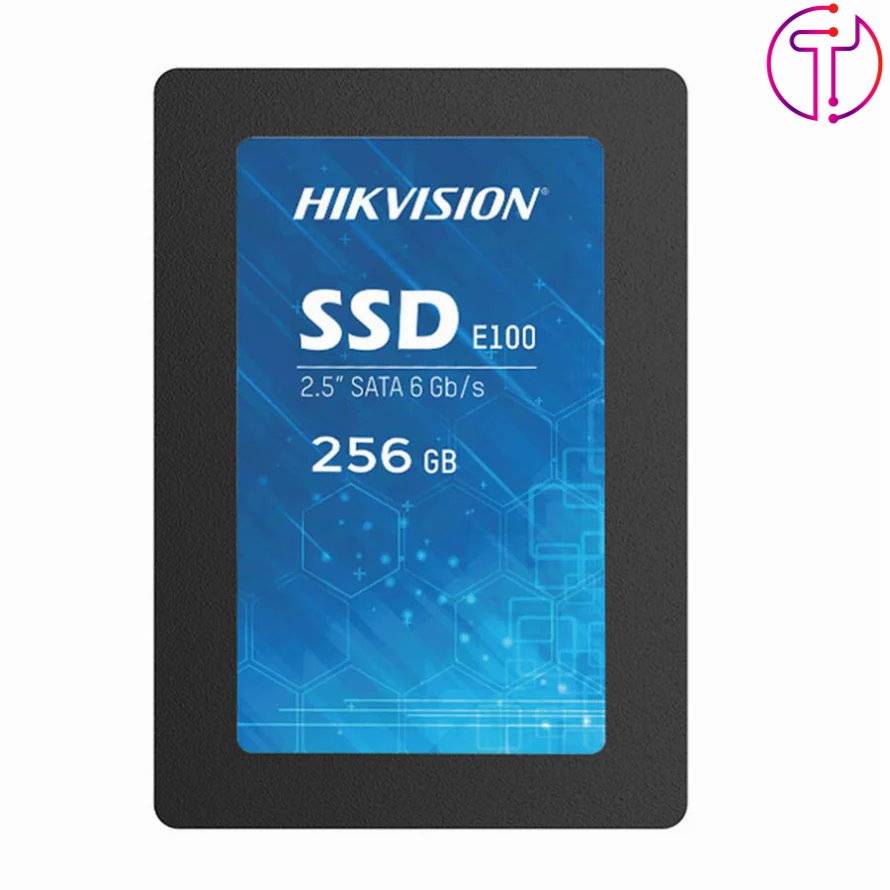 اس اس دی هایک ویژن E100 256GB